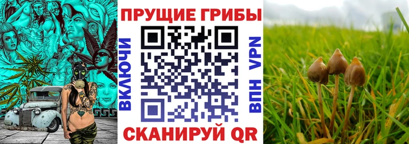 Псилоцибиновые грибы мухоморы МЕГА ТОР Петрозаводск