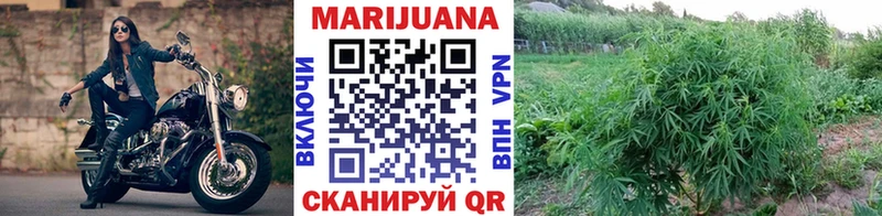 Конопля марихуана  mega зеркало  Петрозаводск 